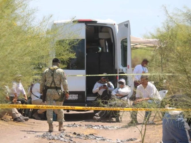 Hallan 11 cuerpos en fosas clandestinas tras búsqueda en predio de Culiacán 