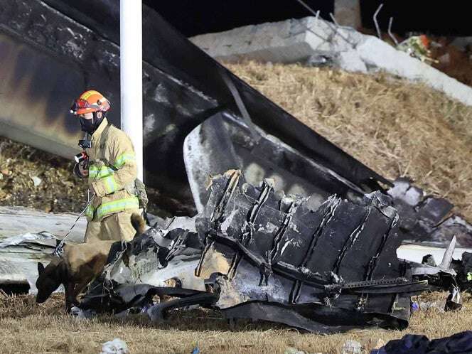 FOTOS: Esto sabemos del peor accidente aéreo que dejó 179 muertos en Corea del Sur