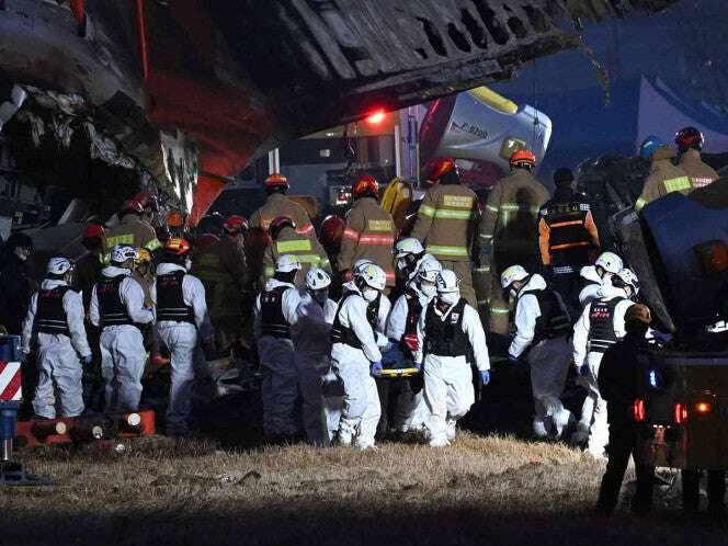 ¿Un pájaro causó la peor tragedia aérea de Corea del Sur? Los expertos responden