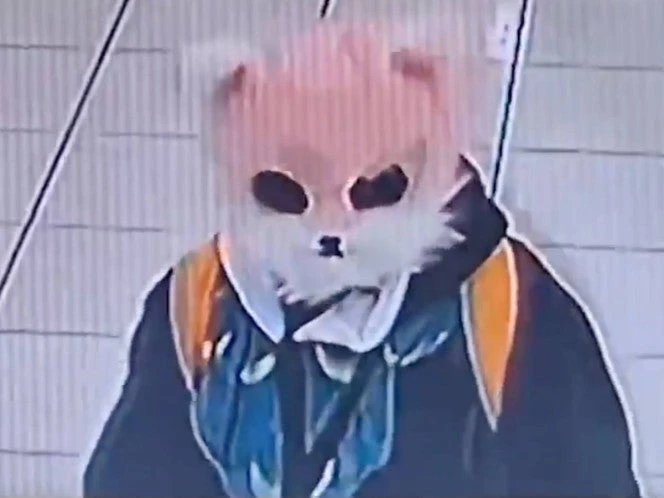 VIDEO: Chica con una máscara de gato intentaba robar en tienda... y al ser detenida, dice 