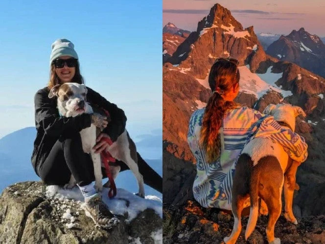 Mujer se lanza desde 18 metros para rescatar a su perro. Aquí su historia