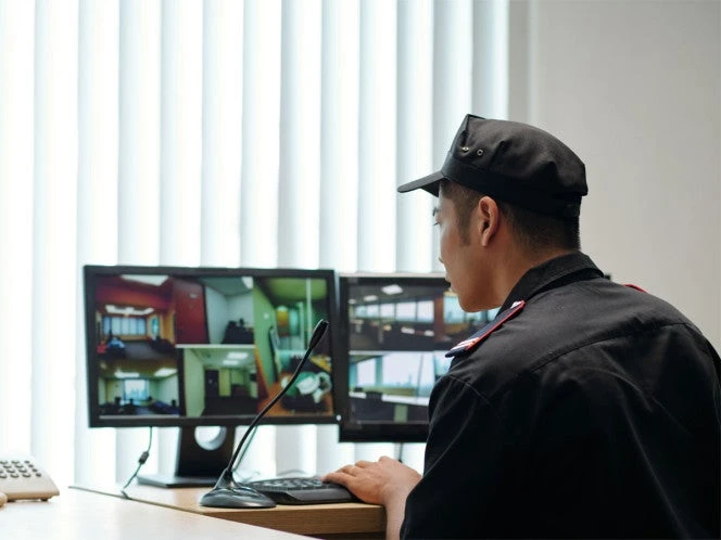 La seguridad privada y su papel en un México competitivo y en paz