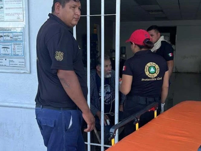 Ataques de abejas africanas en Tamaulipas dejan un muerto y siete heridos