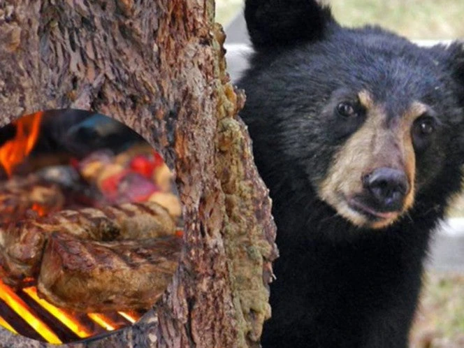 Video: Oso roba carnita asada a familia en Nuevo León 