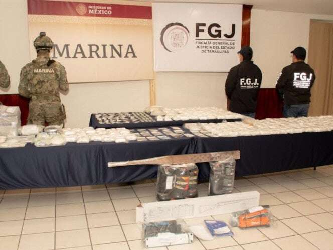 Aseguran 22 mil dosis de cocaína, un pony y 29 gallos en Tamaulipas 