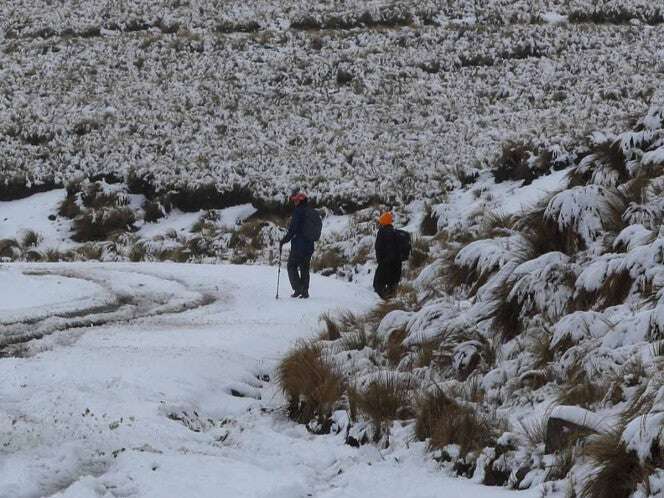 Hoy caerá nieve en Iztaccíhuatl, Malinche, Nevado de Toluca y más; así empieza el invierno 2024