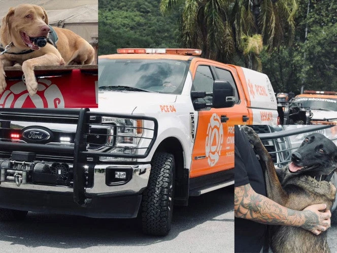 Elementos de PC y equipo canino salen de Nuevo León para apoyar en Texas