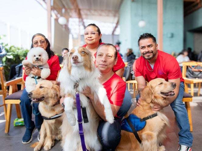 “Juntos es Mejor”: Terapias asistidas con perros en hospitales