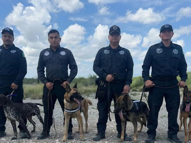 Binomios caninos de Coahuila se suman a búsqueda de víctimas de inundaciones en Texas