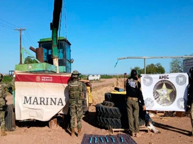 Fuerzas federales neutralizan laboratorios clandestinos y sembradíos de amapola y marihuana en 5 estados