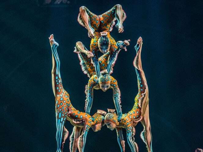 Los acróbatas del Cirque du Soleil: talento que desafía los límites 