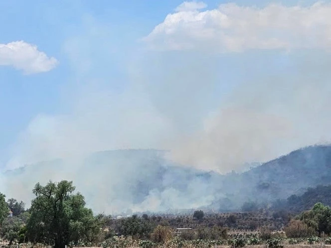 Se reportan seis incendios forestales en Hidalgo