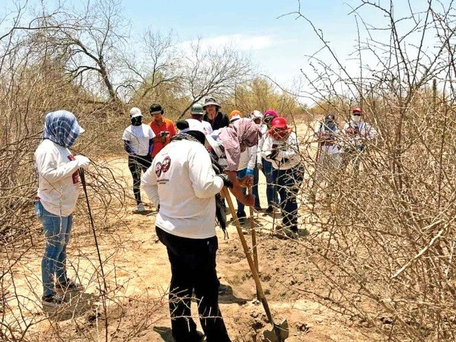 Hallan dos cuerpos y osamentas en fosas de Sonora; localizan numerosas prendas