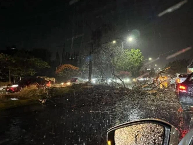 Veracruz emite ALERTA Gris ante amenaza de 'Norte violento'
