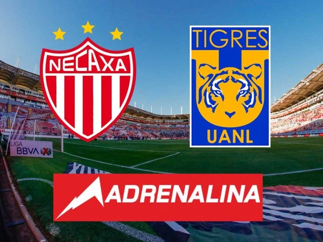 Liga MX: Necaxa vs Tigres - EN VIVO (Cuartos de Final - Ida)
