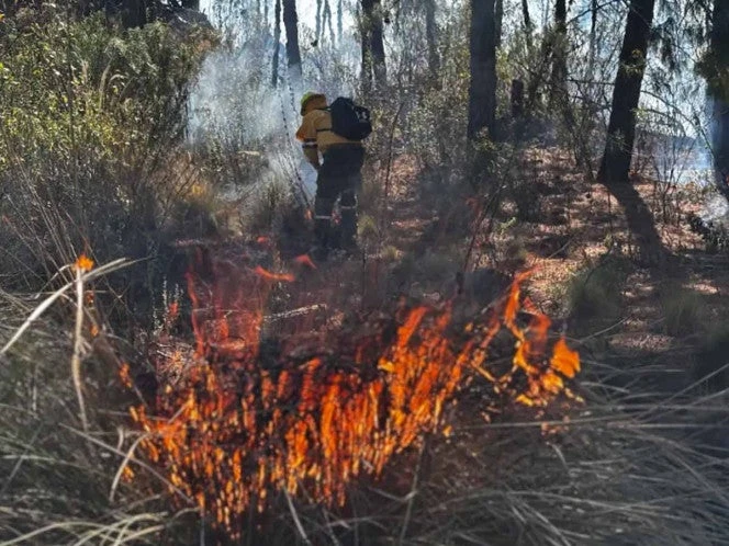 Temporada de Incendios Forestales 2025, hasta ahora la segunda más crítica de la historia