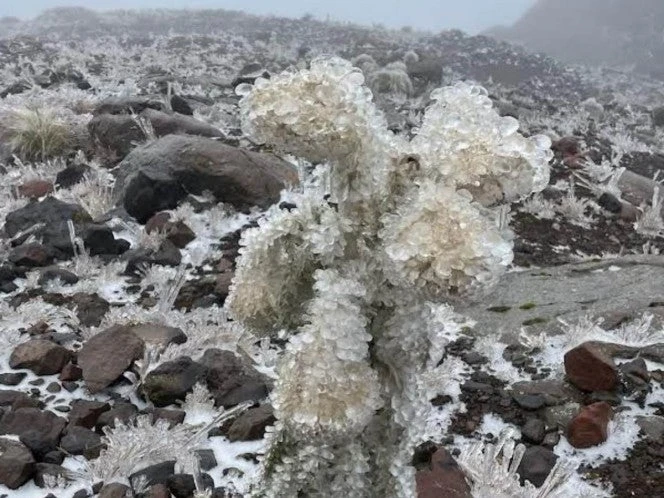Frente frío deja a municipios de Veracruz en la 'congeladora'