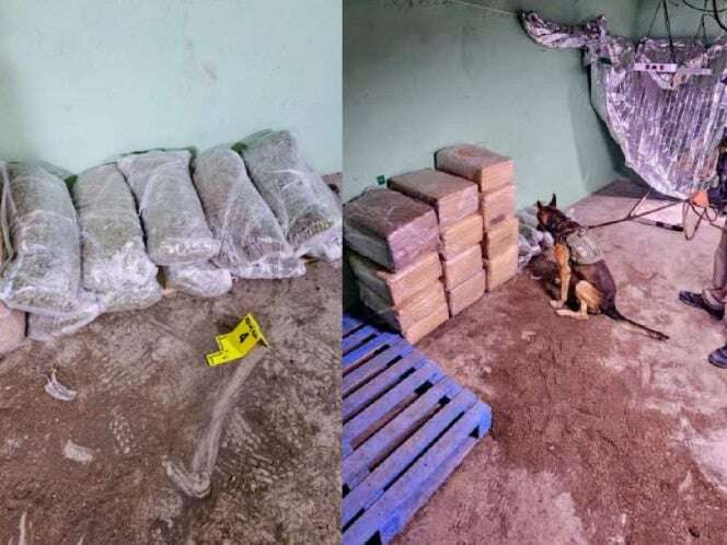 Decomisan más de 260 kilos droga durante cateos en Nuevo León