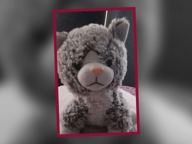 Familia fue extorsionada... para recuperar el peluche de su hijo con autismo