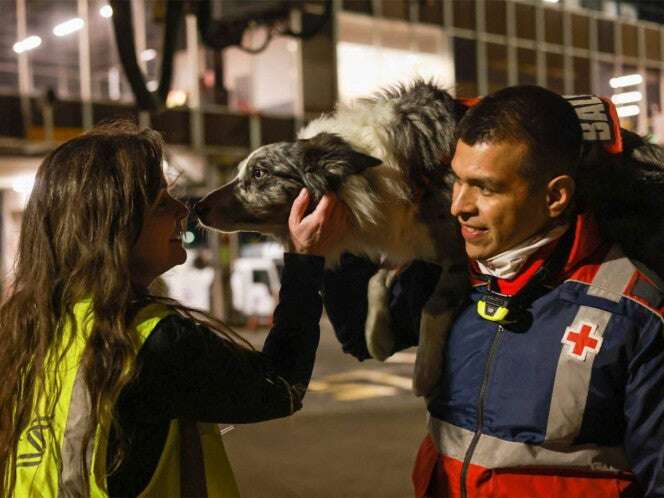 Cada año la Cruz Roja entrena a 35 binomios caninos para búsqueda y rescate