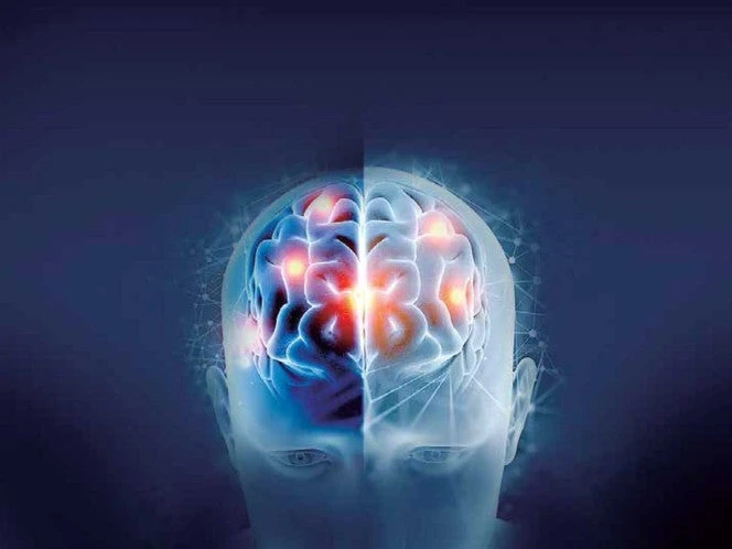 Grasa y azúcar, detrás del daño cerebral; afectan la memoria aprendizaje y emociones