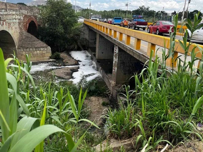 Retrocede México 24 lugares en el Índice de Desempeño Ambiental