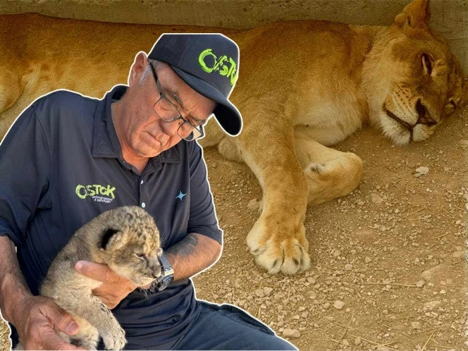 VIDEO: Leona rescatada de la violencia en Culiacán da a luz en santuario de Mazatlán