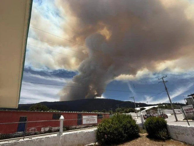 Incendio en Cofre de Perote pierde intensidad; ya no es un riesgo para la población