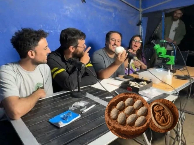 ¡Increíble! Encuentran en Argentina el huevo de dinosaurio mejor conservado del mundo