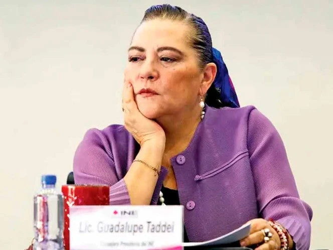 Confirma INE robo de 25 paquetes con 131 mil boletas para la elección judicial en Chiapas