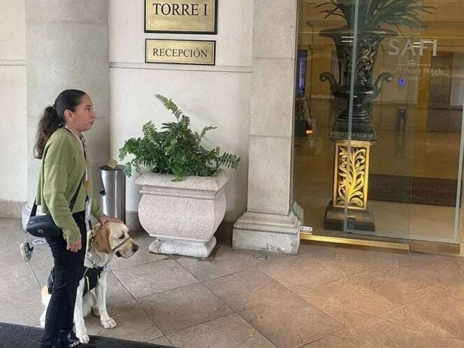 'No se aceptan mascotas', hotel de NL le niega el acceso a mujer invidente por llevar perro guía