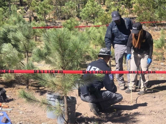 Hallan ‘narco cementerio’ en la Sierra Tarahumara  
