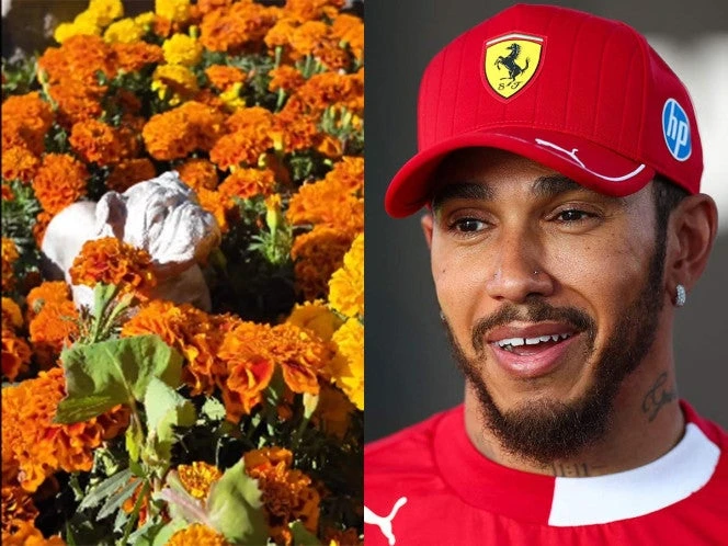 El GP de México recuerda a Roscoe, mascota de Hamilton