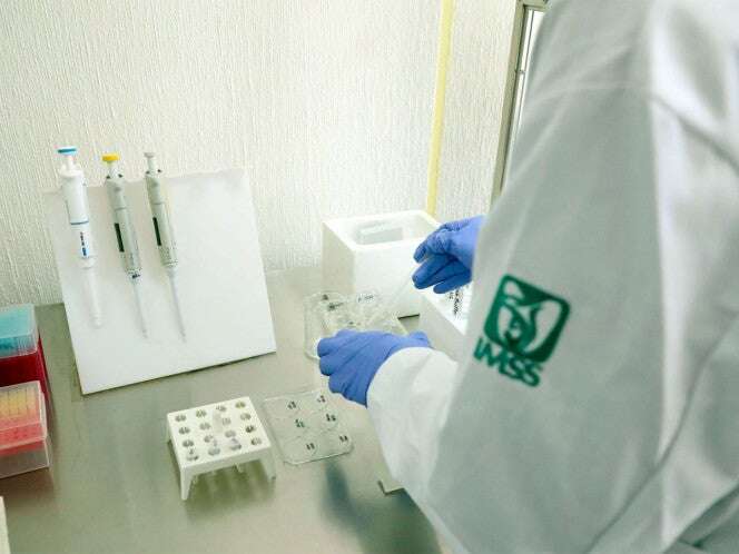 Destaca IMSS en ranking internacional por su investigación en salud