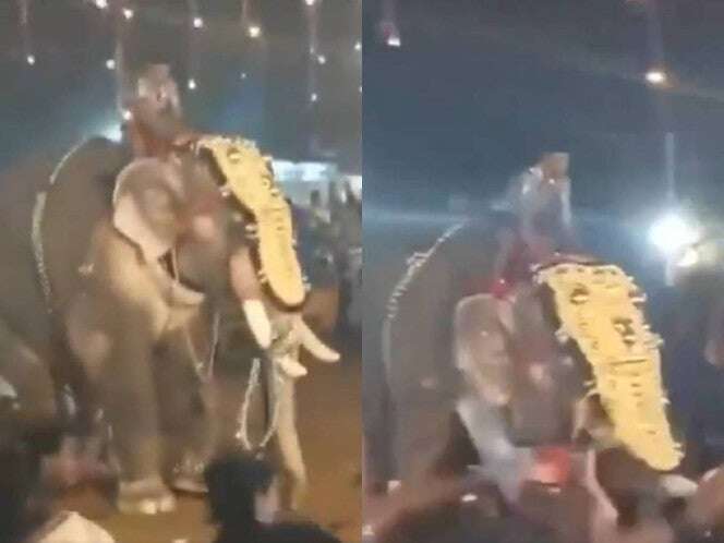 VIDEO: Elefante ataca a una multitud en un festival de la India; hay 23 heridos