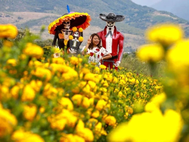 Oaxaca se alista para recibir a miles por la fiesta del Día de Muertos 2025