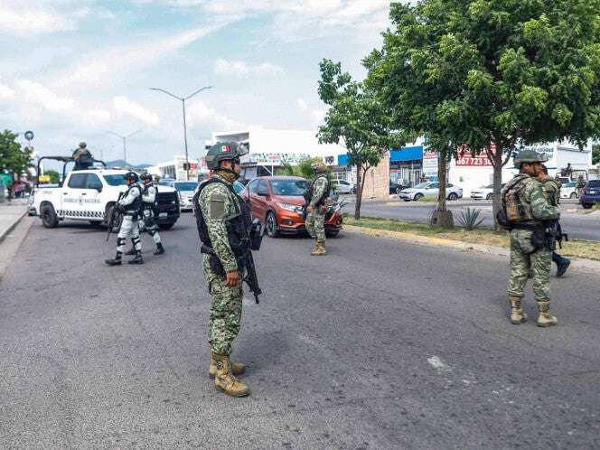 Gabinete de Seguridad asegura mariguana en Tabasco y precursores en Sinaloa