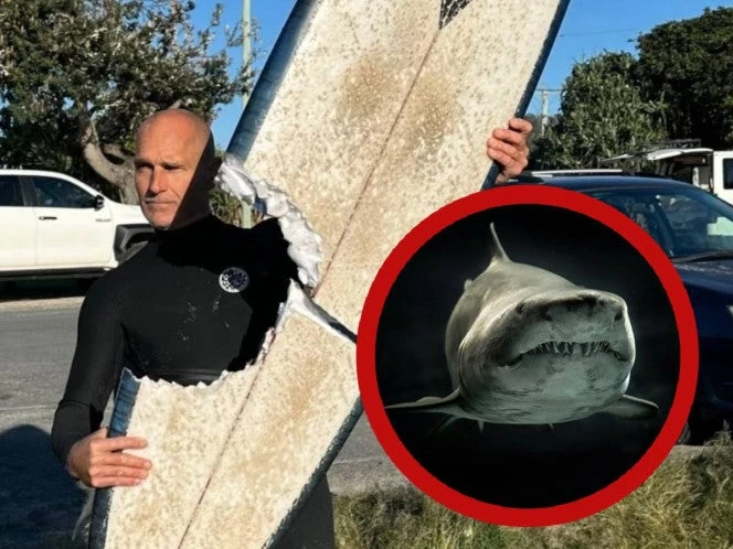 Surfista sufre ataque sorpresa de tiburón | VIDEO