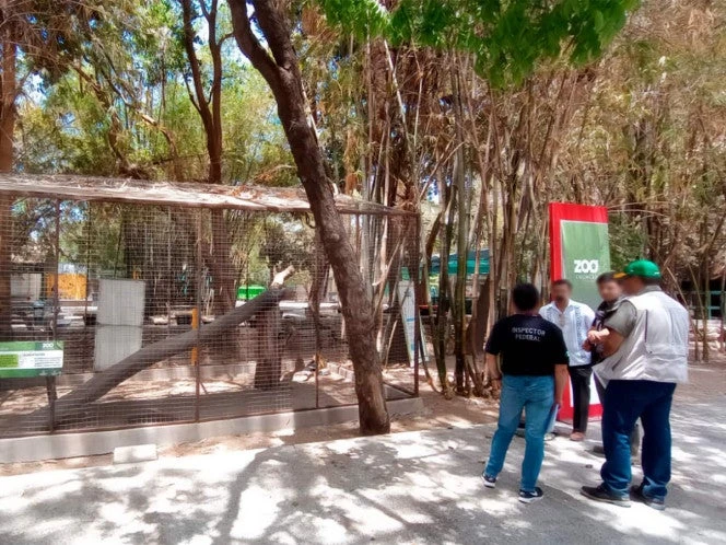 Detecta Profepa serias irregularidades en el Zoológico de Culiacán