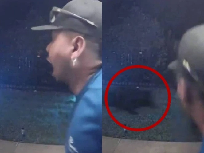 Hombre es atacado por un oso justo en la puerta de su casa | VIDEO