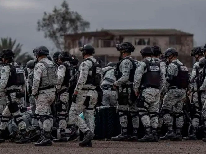 Operación Frontera Norte 4 mil detenidos y toneladas de droga aseguradas