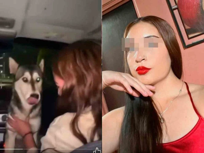 Universidad Pedagógica Nacional expulsa a estudiante que embriagó a perrita callejera en Chihuahua