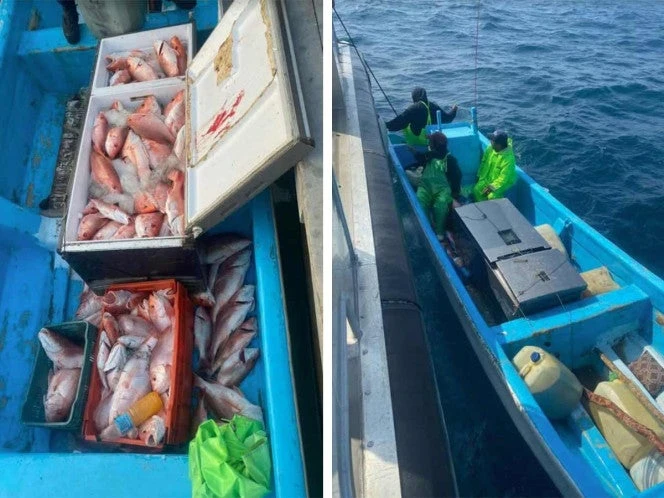 EU procesa a pescadores mexicanos por captura ilegal de huachinango en el 'Golfo de América'