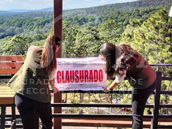 Clausuran Parque Camino Real del Tigre en Jalisco; dejaron a los animales abandonados