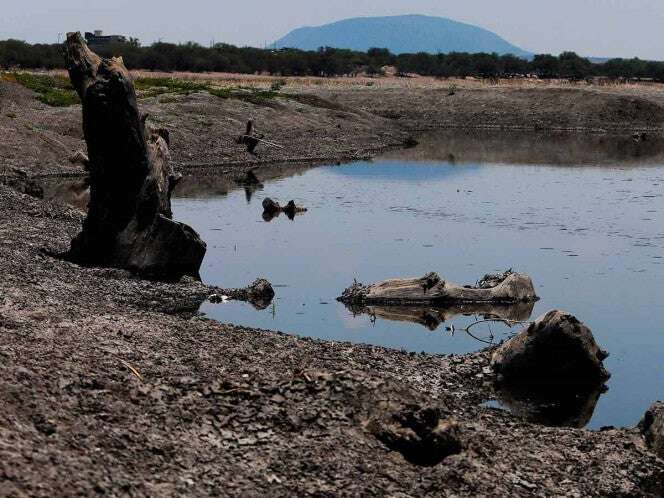 Se cumple dos meses avance de sequía sobre territorio nacional