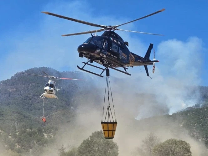 Puebla y Tlaxcala trabajan en incendio forestal