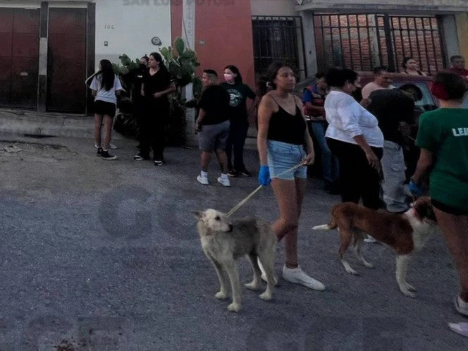 Esqueletos y perritos en los huesos, VIDEO desgarrador del caso SLP