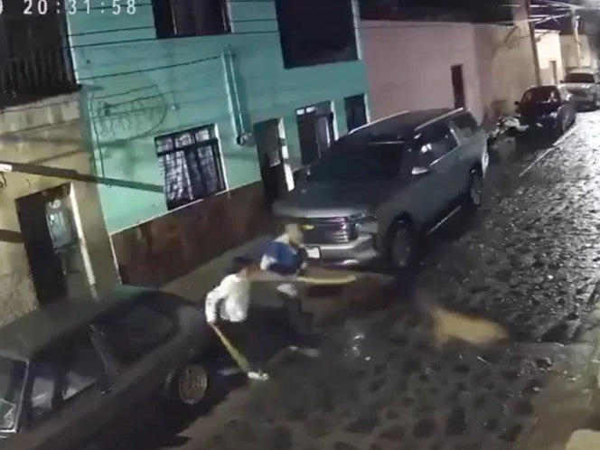 Se recupera Negrito, el perrito agredido en Puente Grande; aún no definen su destino