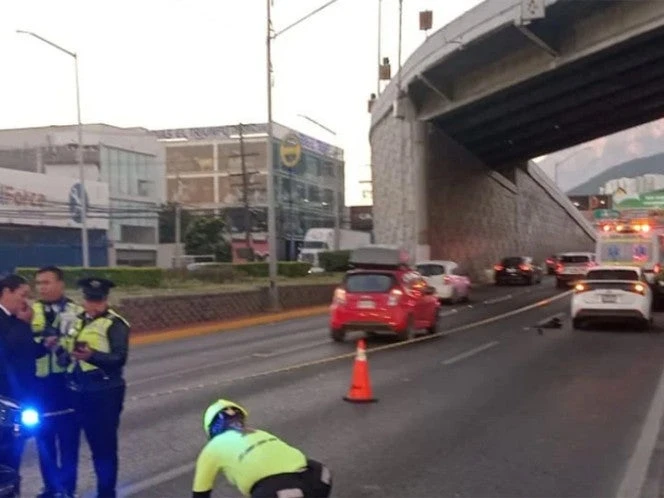 Atropellan y matan a señor al intentar cruzar la calle