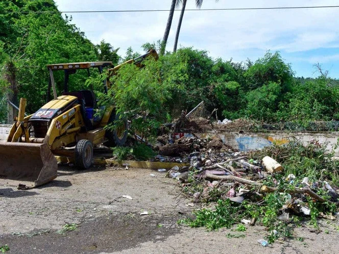 Inundaciones, apagones, caída de árboles, palmeras, techos…, lo que dejó ‘Dalila’ en Guerrero